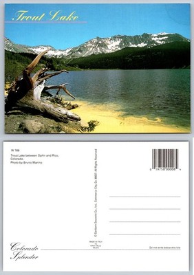 Trout Lake Colorado Postcard - Ophir Rico Scenic Mountains Bruno Marino