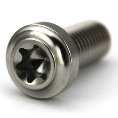 Titan Schraube Tech-Design Titanium Grade 5 Ti6Al4V - M8x20