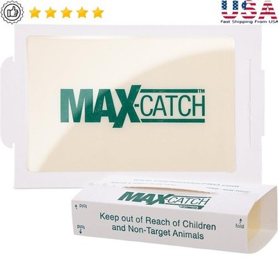 Pest Control Glue Traps Mice Rats Insects Ants Roaches Spiders 4 Pieces New