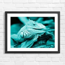 Orange Iguana Face With Stick Tongue Licking Teal Framed Wall Art Print Large