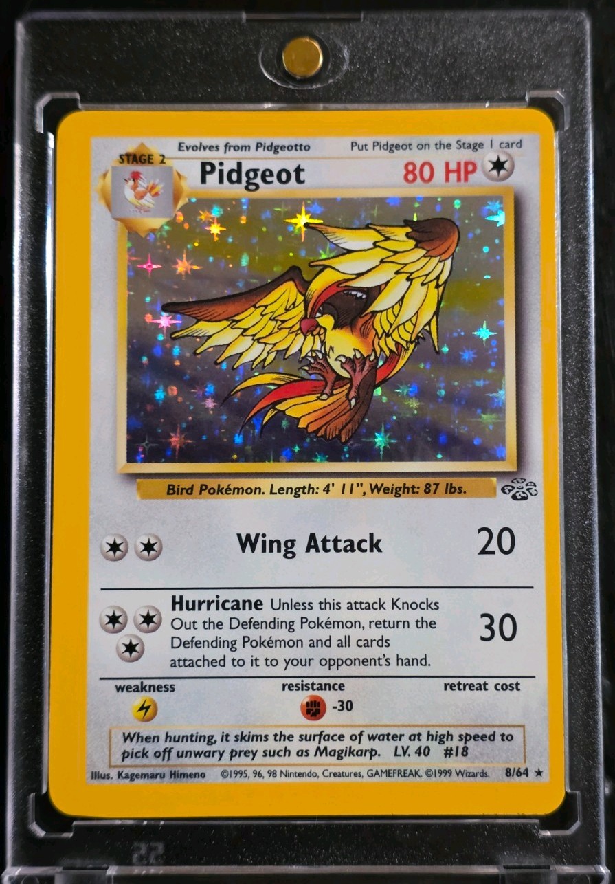Pidgeot 8/64  Holo Rare Jungle Set Unlimited Edition Pokemon Card Never Played