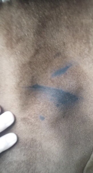 Excelled leather jacket - image 7