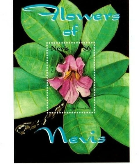 Nevis 2007 #1512 Souvenir Sheet MNH Flora/Flowers/Plants/Pink Trumpet
