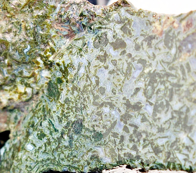 0.80oz Slab End Cut Maury Moss Agate Raw Natural Rough Mineral Stone Old Stock