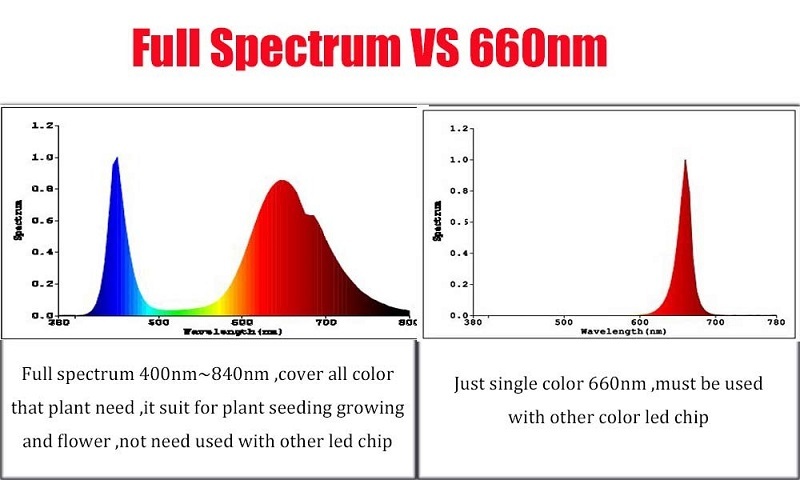 1pcs 12V 50W LED Full spectrum 400-840nm High Powe Grow Light for hydroponics