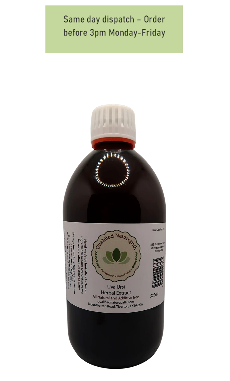 Uva Ursi (Bearberry) Herbal Extract - 525ml - In Glass UV Resistant Bottle