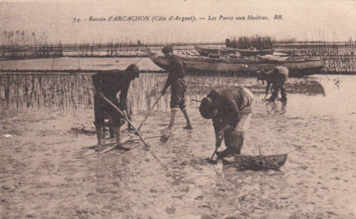 ARCHACHON 74 oyster parks written oyster farming pool - Picture 1 of 1