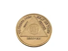 3 Year AA Sobriety Recovery Serenity Prayer Medallion Coin