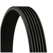 Keilrippenriemen für Seat Toledo 3 5P2 4 KG3 | 24445857