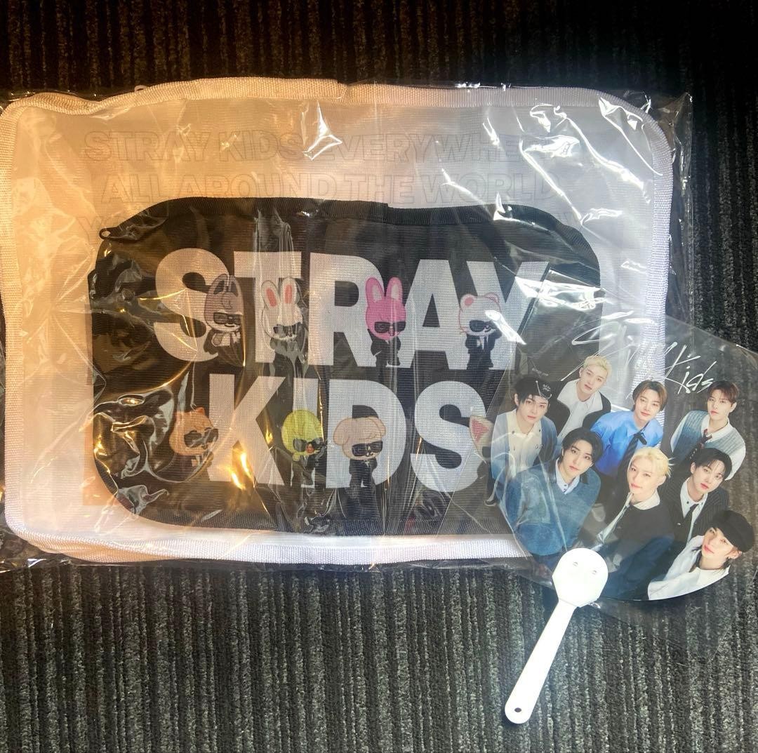 Stray Kids Run It World Tour Upgrade Pouch Fan Goods