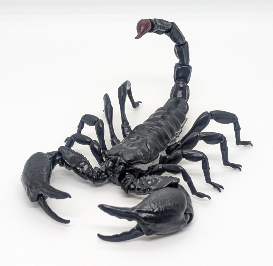 Bandai Gashapon Big Scorpion Figure 6.7"" Realistic Pandinus from Japan Seller