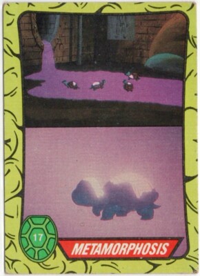 1989 Teenage Mutant Ninja Turtles Trading Card TMNT #17 | eBay