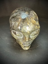 Testa aliena labradorite flash verde e blu 3,34" 1 libbra 8,2 oz