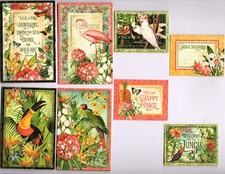 Graphic45 LOST IN PARADISE 8pk MINI HAND CUT EPHEMERA POCKET CARDS