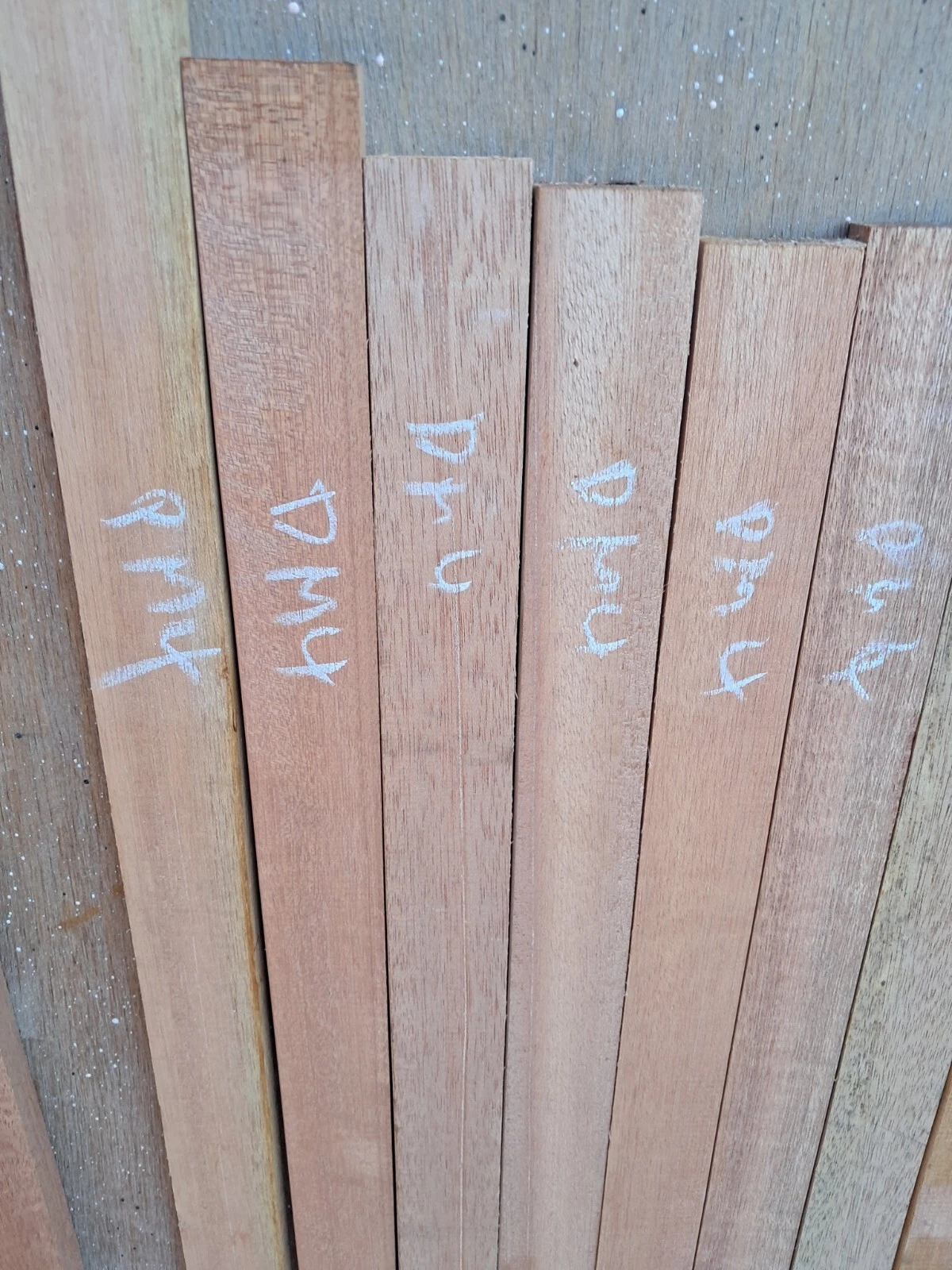 Picture 6 of 8