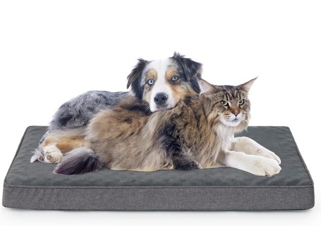 Vamcheer Memory Foam Dog Bed Grey Cover XL 104x69x8cm Orthopaedic Washable  Puppy