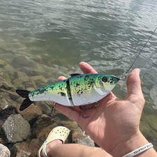 Green Black White Fish-Shaped Swimbait Multi-Jointed Lure with Treble Hooks