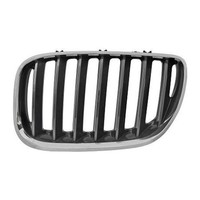 Diederichs LüFtungsgitter KüHlergrill Schwarz Chrom FüR Bmw X5 E53 Links