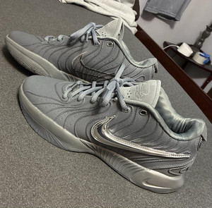 Lebron 21 Cool Grey | eBay