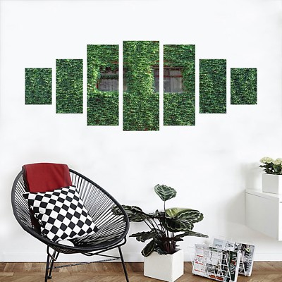 drachenbaum grüner stamm Dracaena golden coast (Drachenbaum) (XL) kaufen? | Lenny main image 1