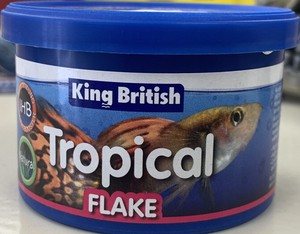 king british tropical fish food