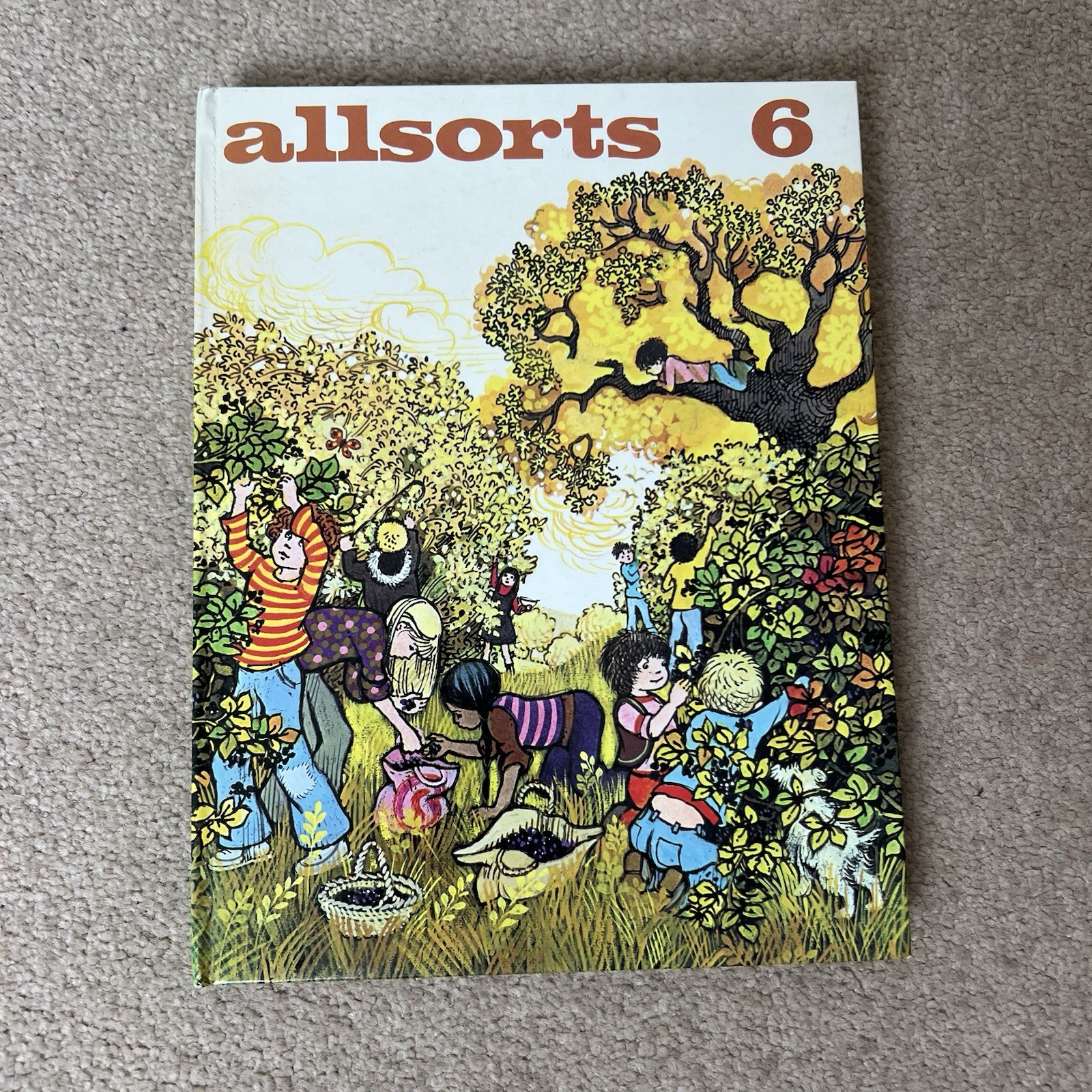 Allsorts 6 Hardback Illustrated Childrens Book By Ann Thwaite 1974 Methuen
