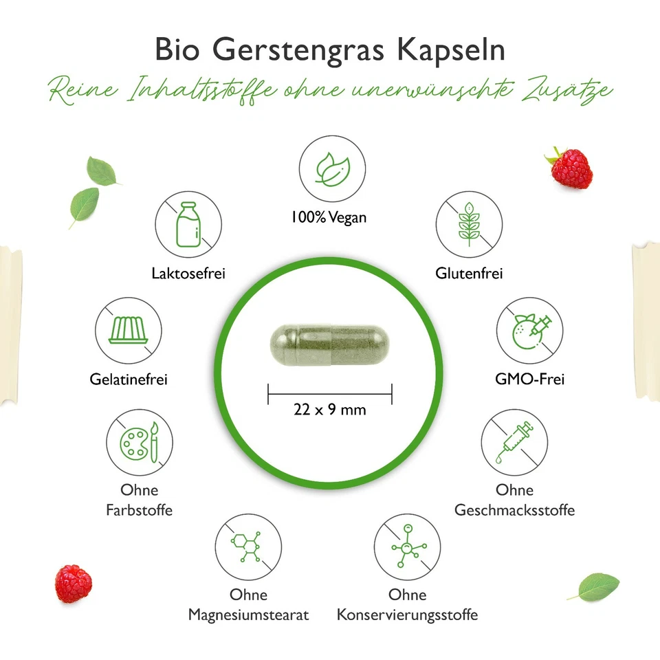 Bio Gerstengras - 365 Kapseln (V) á 500 mg junges Gerstengras-Pulver Hochdosiert - Bild 3 von 4