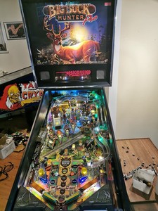 Flipper high roller casino prix play Flipper high roller casino prix play