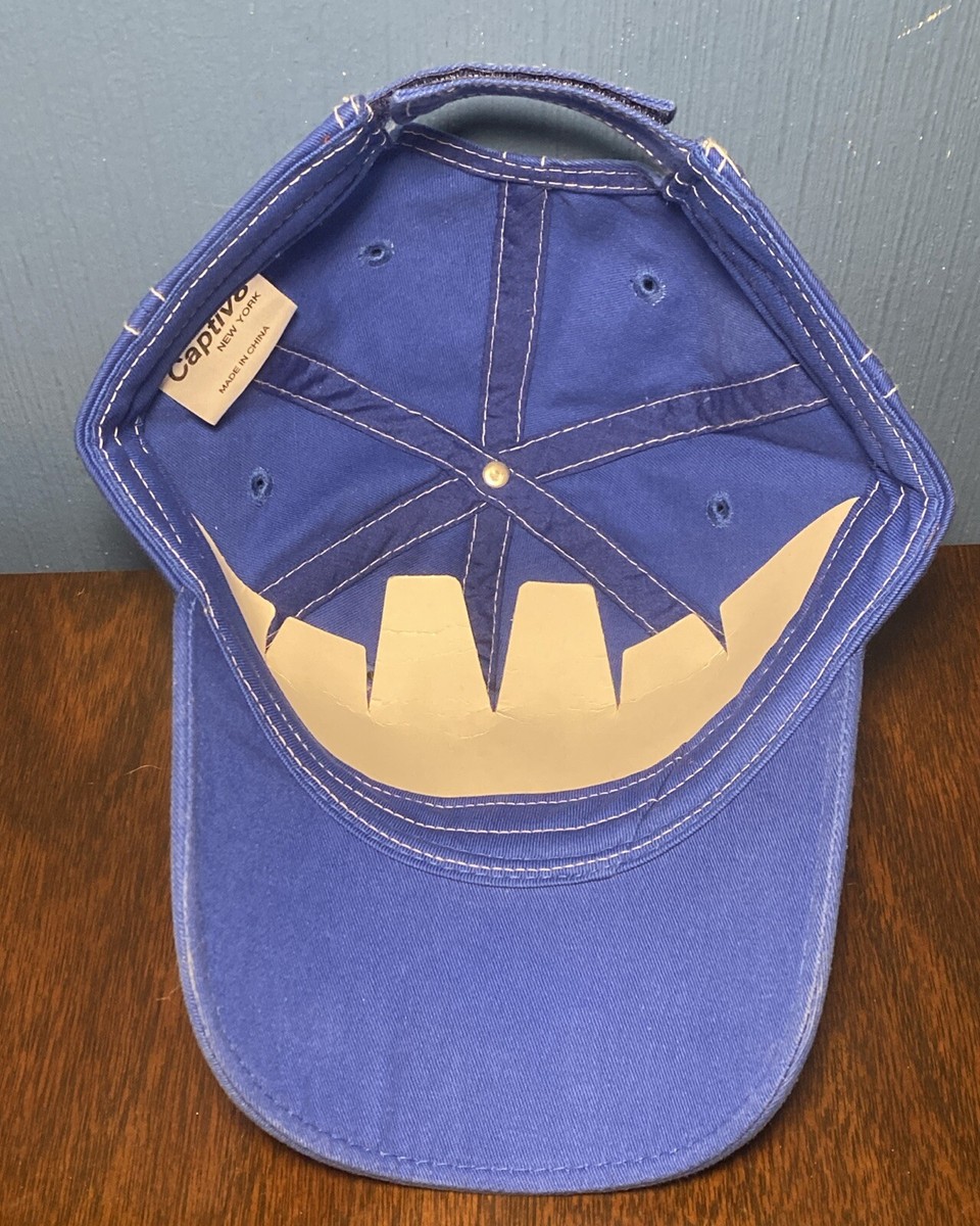 VTG Hershey Park Souvenir Baseball Hat 2007 Blue Chocolate Mascot