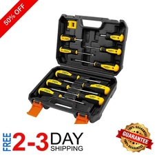 11-Piece Magnetic Screwdriver Set with Case - Precision Phillips & Flat Heads