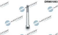 EinspritzdÜSe Schraube Citroen C5 2.2HDI 09-