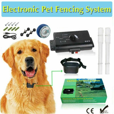 shock collar perimeter