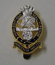 British Army Princess of Wales Royal Regiment Cap Badge PWRR
