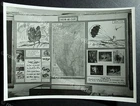 WW2 RAF Intelligence library - Burma Evasion & Escape board photo 16 by 12cm