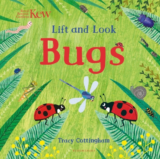 Kew: Lift And Look Bugs Tracy Cottingham - Image 4