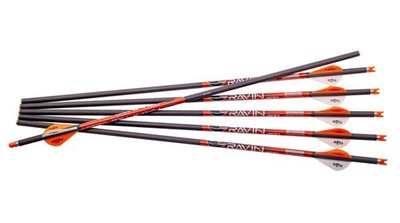 Ravin .003'' Crossbows Arrows Bolts 400 Grain Carbon Construction 6 Units - R138