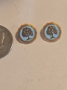Vintage PTA Pins National Congress of Parents Teachers 1897 Enamel Lot of 2