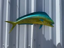 22" Bull Dolphin (Mahi) Two Sided Wall Mount Fish Replica - Quick Production