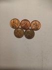 Lot Of 5  Wheat Pennies — photo 1