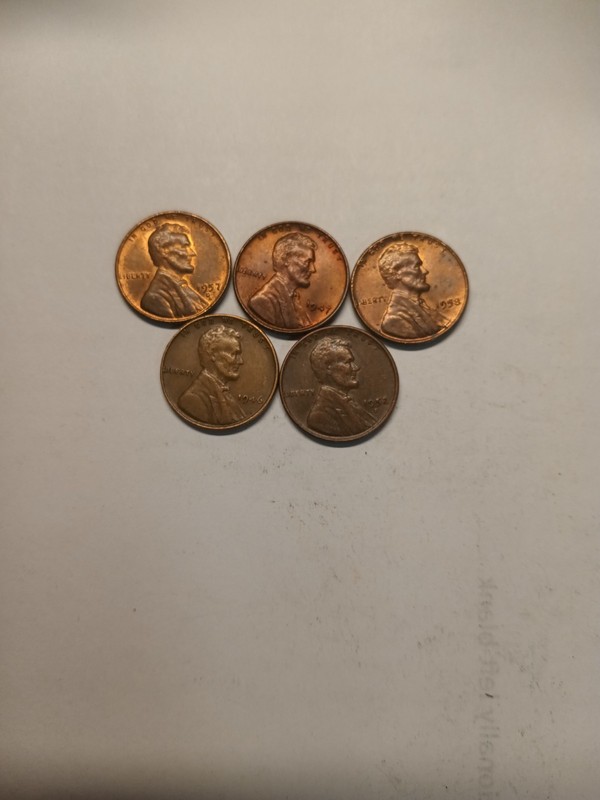 Lot Of 5  Wheat Pennies