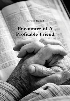 Encounter of A Profitable Friend by Hamill, Bertron