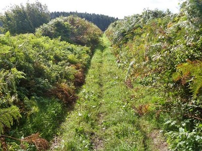 Foto A2 Fußweg verlässt die Nebenstraße [1] Bennah An der Stelle wo der Foo c2018
