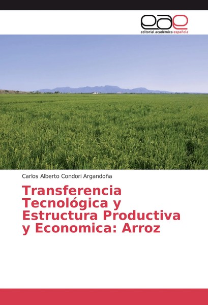 Carlos Alberto Condori ArgandoñA | Transferencia TecnolóGica Y Estructura...-image