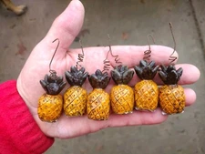 12 Solid Resin Wired Pineapple Decorations Decorations Holiday Salem Collection 
