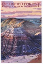 Petrified Forest National Park Arizona Art Poster Postcard