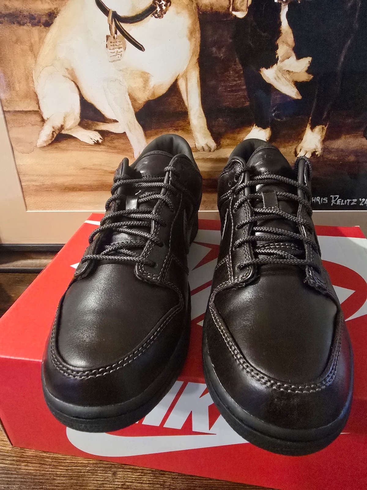 Nike Dunk Low Retro PRM QS Baroque Brown  IQ3342-200 2026 Shoes Mens 10 US NEW thumbnail 5