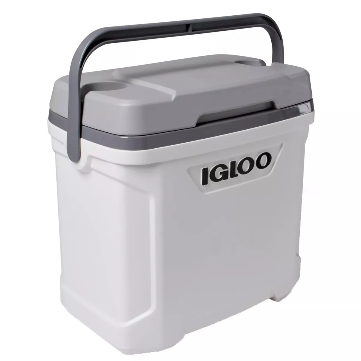 Best 30 store qt cooler