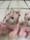 vintage4 Original Authentic w/ Tags Mint Ty Beanie Baby Carnation Basket Beanies