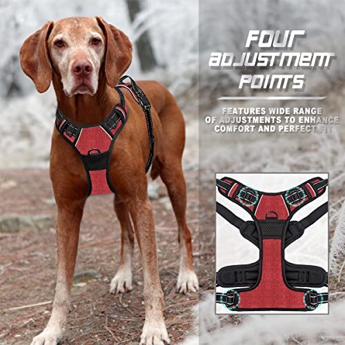 BARKBAY No Pull Dog Harness Front Clip Heavy Duty  Assorted Sizes , Colors  - Picture 79 of 90