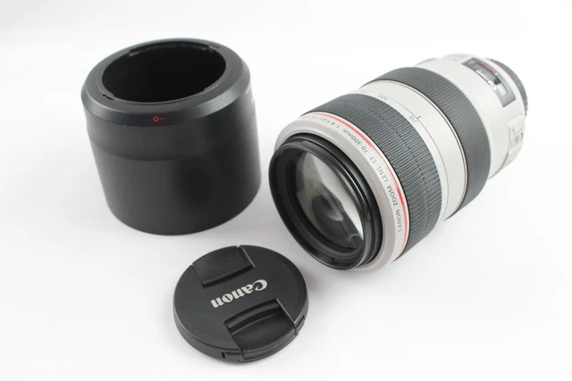 Canon EF 70-300mm F/4-5.6 L Autofocus Luxury Camera Lens Working w/ Lens Hood